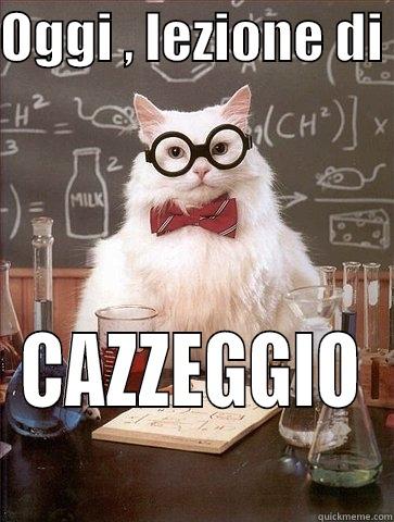 OGGI , LEZIONE DI  CAZZEGGIO Chemistry Cat