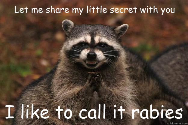 Let me share my little secret with you I like to call it rabies - Let me share my little secret with you I like to call it rabies  Evil Plotting Raccoon