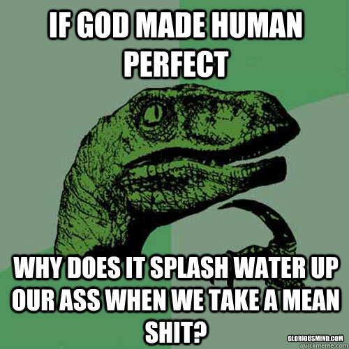 If god made human perfect why does it splash water up our ass when we take a mean shit? gloriousmind.com  Philosoraptor