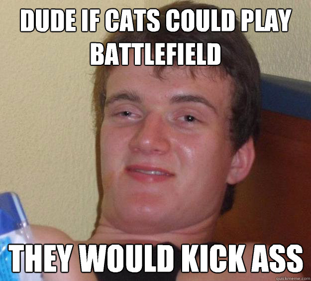 Dude if cats could play Battlefield  They would kick ass - Dude if cats could play Battlefield  They would kick ass  10 Guy