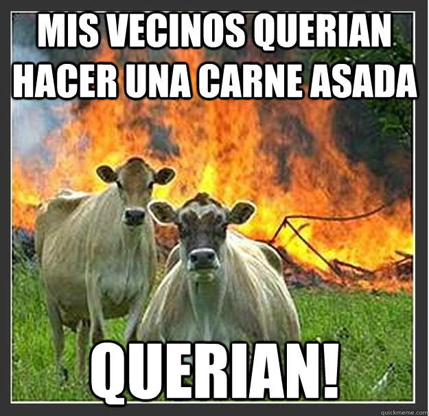 Mis vecinos querian hacer una carne asada querian!  Evil cows