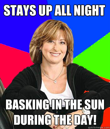 Stays up All Night Basking in the Sun during the Day! - Stays up All Night Basking in the Sun during the Day!  Sheltering Suburban Mom