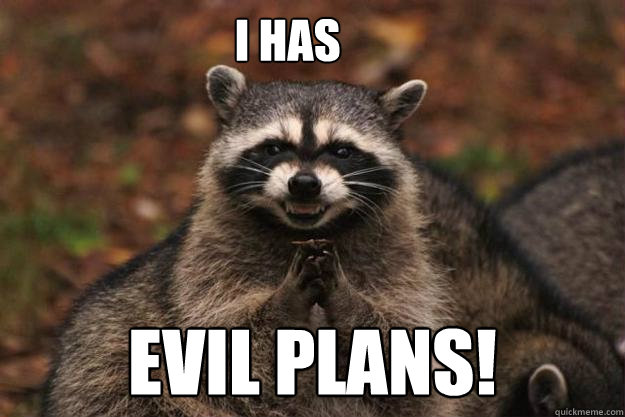 I HAS evil plans! - I HAS evil plans!  Evil Plotting Raccoon