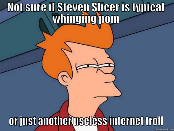 NOT SURE IF STEVEN SLICER IS TYPICAL WHINGING POM OR JUST ANOTHER USELESS INTERNET TROLL Futurama Fry