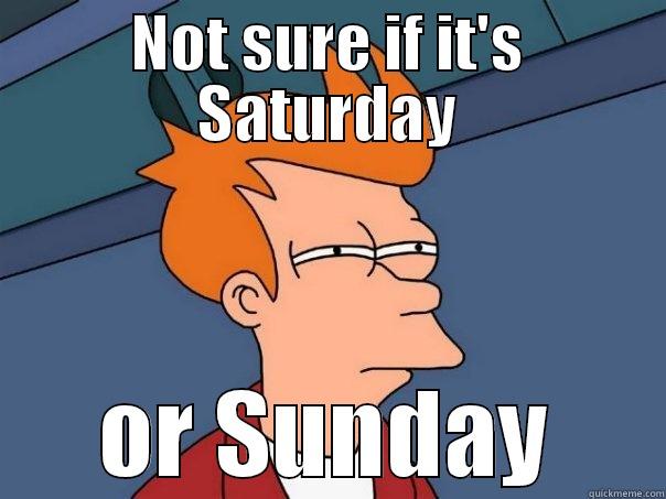 NOT SURE IF IT'S SATURDAY OR SUNDAY Futurama Fry