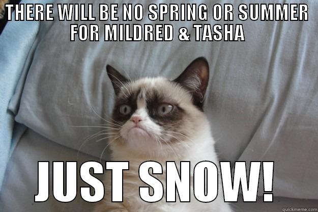 THERE WILL BE NO SPRING OR SUMMER FOR MILDRED & TASHA JUST SNOW! Grumpy Cat