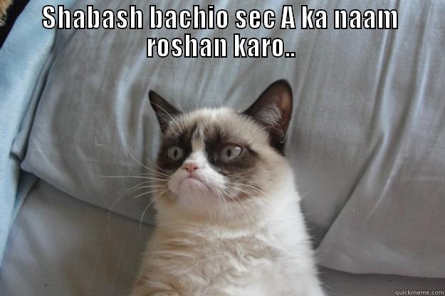 SHABASH BACHIO SEC A KA NAAM ROSHAN KARO..  Grumpy Cat