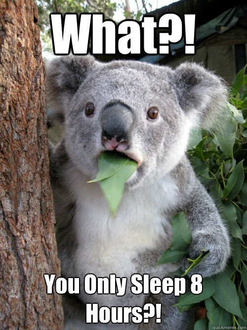 What?! You Only Sleep 8 Hours?!  