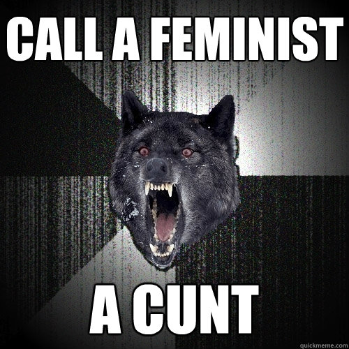 Call a feminist a cunt  Insanity Wolf