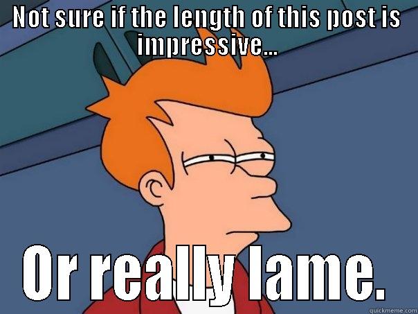 NOT SURE IF THE LENGTH OF THIS POST IS IMPRESSIVE... OR REALLY LAME. Futurama Fry