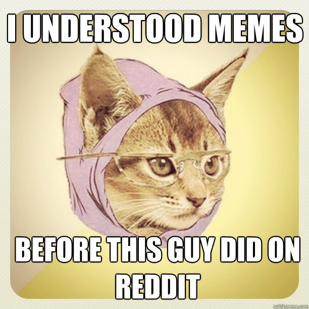 I understood memes before this guy did on reddit - I understood memes before this guy did on reddit  Instagram hipster kitty