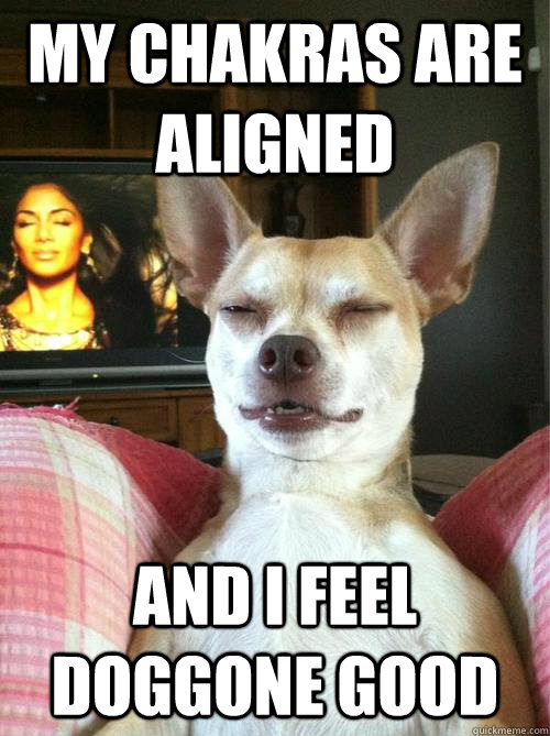 My Chakras are aligned And I feel doggone good - My Chakras are aligned And I feel doggone good  Zen Gog