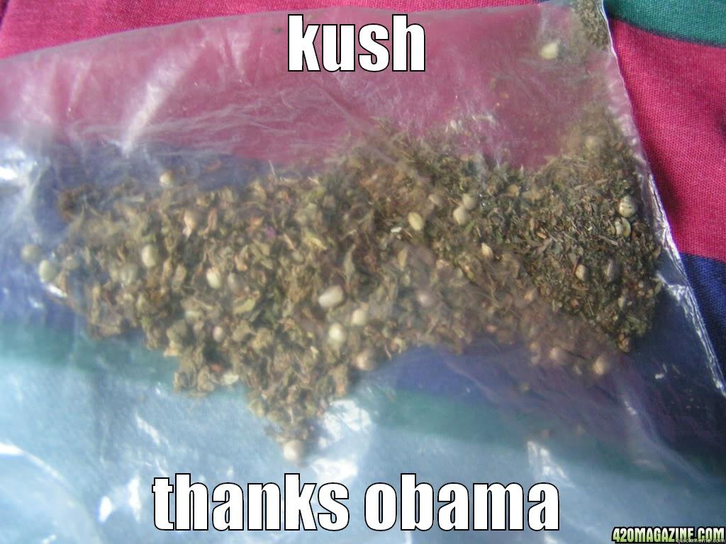 dirty ditch weed - KUSH THANKS OBAMA Misc