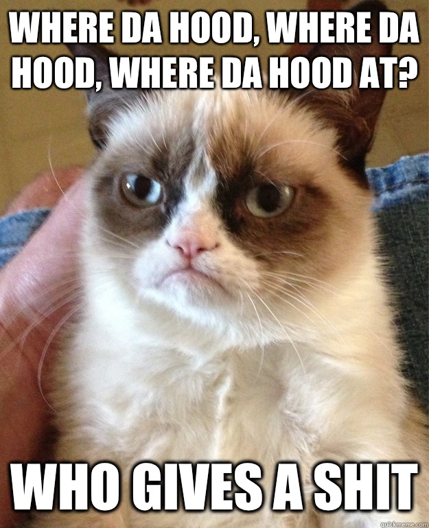 Where da hood, where da hood, where da hood at? Who gives a shit  Grumpy Cat