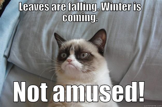 LEAVES ARE FALLING. WINTER IS COMING. NOT AMUSED! Grumpy Cat