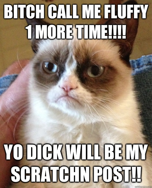 BITCH CALL ME FLUFFY 1 MORE TIME!!!! YO DICK WILL BE MY SCRATCHN POST!!  Grumpy Cat