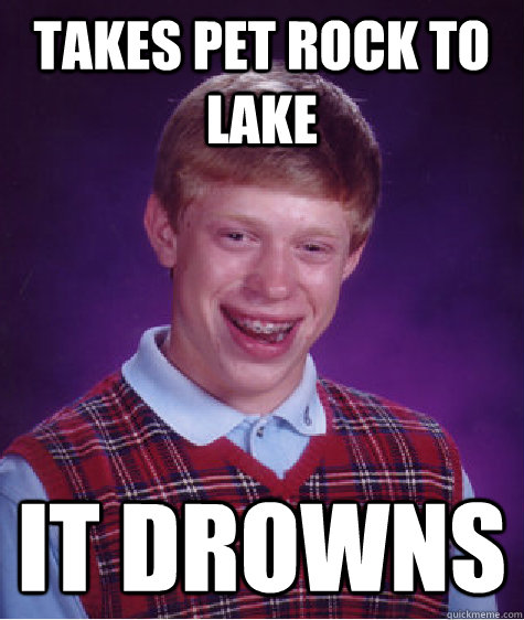 takes pet rock to lake it drowns - takes pet rock to lake it drowns  Bad Luck Brian