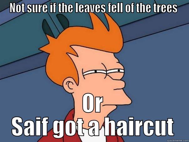 Saif got a haircut - NOT SURE IF THE LEAVES FELL OF THE TREES OR SAIF GOT A HAIRCUT Futurama Fry