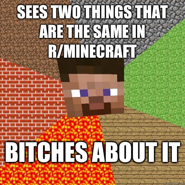 Sees two things that are the same in r/Minecraft Bitches about it - Sees two things that are the same in r/Minecraft Bitches about it  Minecraft