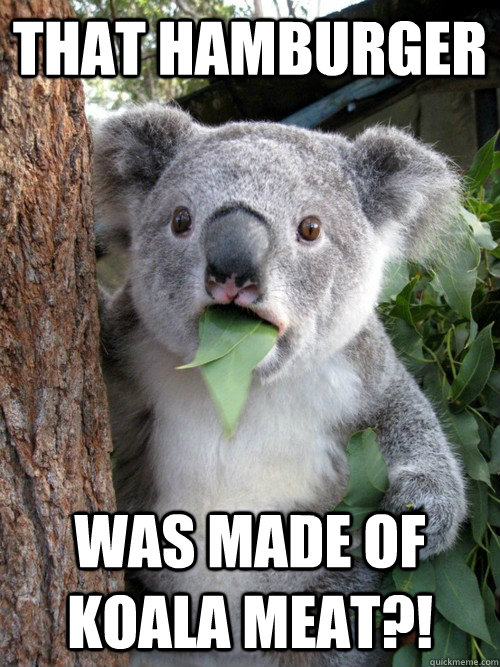 that hamburger was made of koala meat?! - that hamburger was made of koala meat?!  koala bear