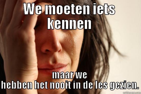 WE MOETEN IETS KENNEN MAAR WE HEBBEN HET NOOIT IN DE LES GEZIEN. First World Problems