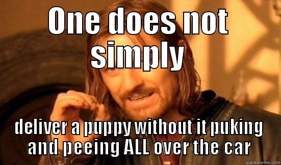 ONE DOES NOT SIMPLY DELIVER A PUPPY WITHOUT IT PUKING AND PEEING ALL OVER THE CAR Boromir