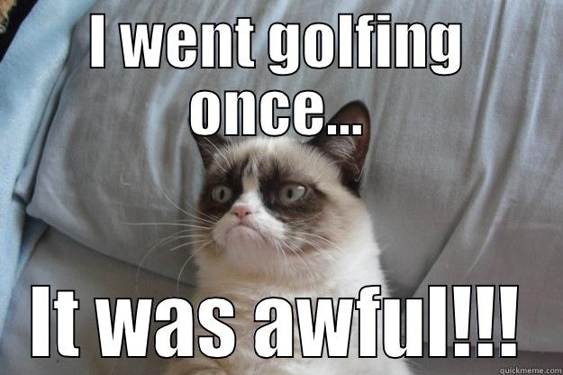 I WENT GOLFING ONCE... IT WAS AWFUL!!! Grumpy Cat