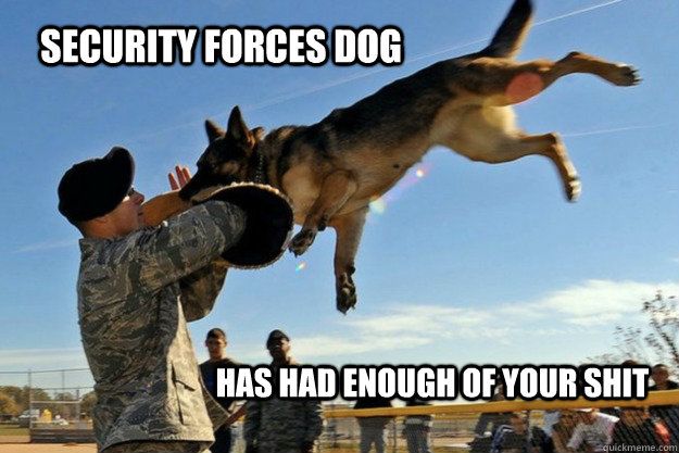 Security Forces Dog Has had enough of your shit - Security Forces Dog Has had enough of your shit  SF Dog