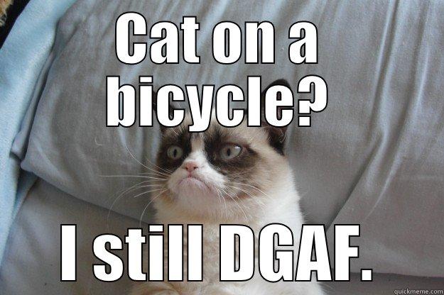 XD Lol - CAT ON A BICYCLE? I STILL DGAF. Grumpy Cat