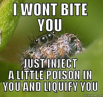 I WONT BITE YOU JUST INJECT A LITTLE POISON IN YOU AND LIQUIFY YOU Misunderstood Spider