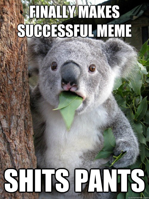 finally makes successful meme shits pants  koala bear