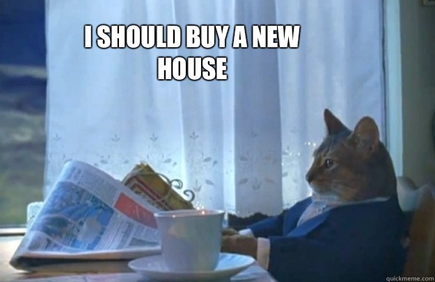 I should buy a new house  Sophisticated Cat