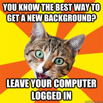 YOu know the best way to get a new background? leave your computer logged in  Bad Advice Cat