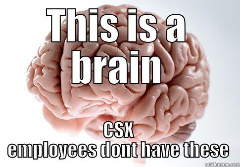 THIS IS A BRAIN CSX EMPLOYEES DONT HAVE THESE Scumbag Brain