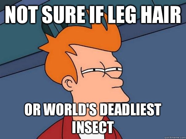 not sure if leg hair or world's deadliest insect  Futurama Fry