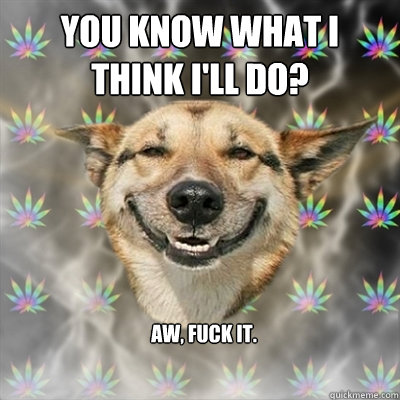 You know what I think I'll do? Aw, fuck it.  Stoner Dog