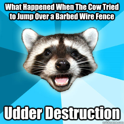 What Happened When The Cow Tried to Jump Over a Barbed Wire Fence  Udder Destruction  Lame Pun Coon