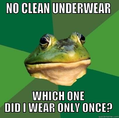 NO CLEAN UNDERWEAR WHICH ONE DID I WEAR ONLY ONCE? Foul Bachelor Frog