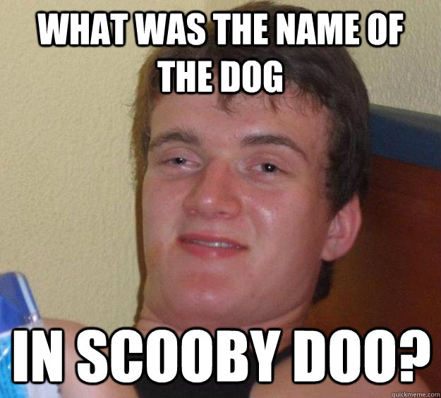 What was the name of the dog in scooby doo?  10 Guy