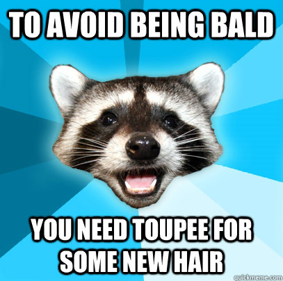 TO AVOID BEING BALD YOU NEED TOUPEE FOR SOME NEW HAIR  Lame Pun Coon