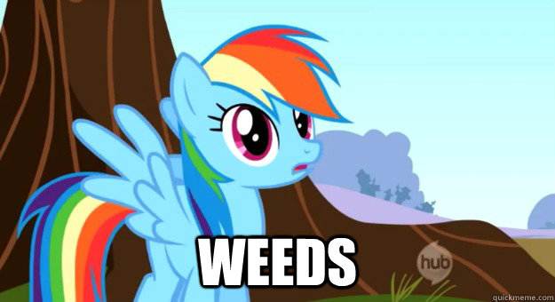  weeds  Rainbow Dash