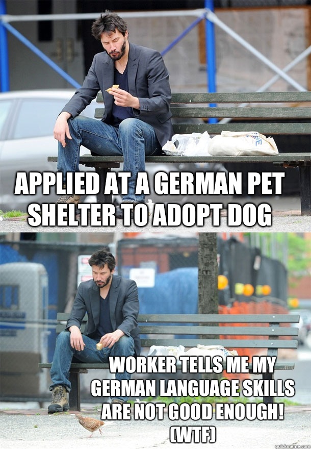 Applied at a German pet shelter to adopt dog Worker tells me my German language skills are not good enough! (WTF)   Sad Keanu