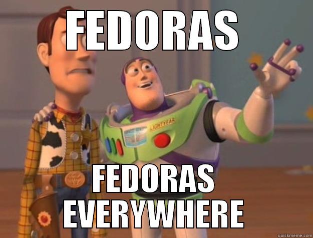 FEDORAS FEDORAS EVERYWHERE Toy Story