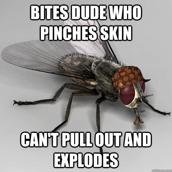 BITES DUDE WHO PINCHES SKIN CAN'T PULL OUT AND EXPLODES - BITES DUDE WHO PINCHES SKIN CAN'T PULL OUT AND EXPLODES  Scumbag Fly