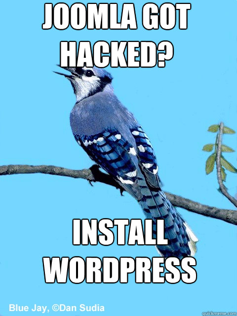 Joomla got hacked? Install Wordpress  Blue Team Bird