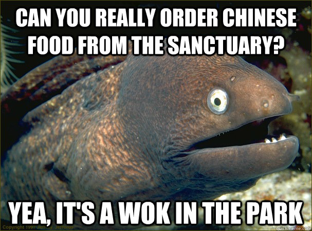 Can you really order chinese food from the sanctuary? yea, it's a wok in the park - Can you really order chinese food from the sanctuary? yea, it's a wok in the park  Bad Joke Eel