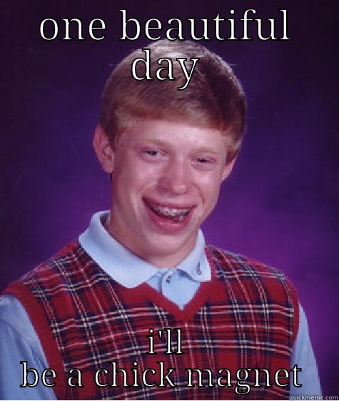 ONE BEAUTIFUL DAY I'LL BE A CHICK MAGNET  Bad Luck Brian