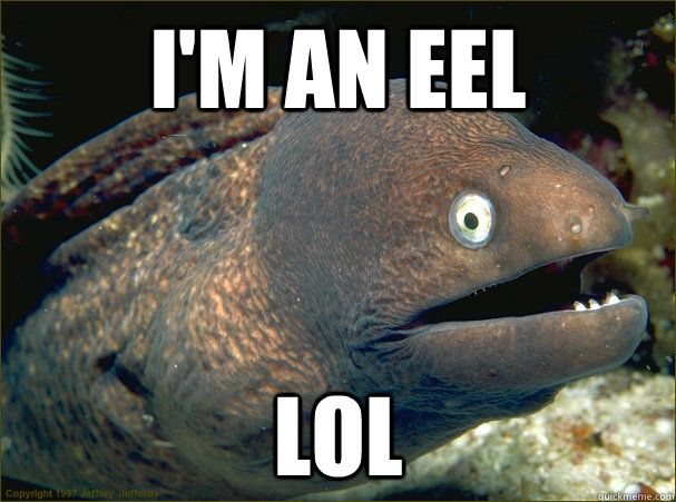 I'm an eel LOL - I'm an eel LOL  Bad Joke Eel