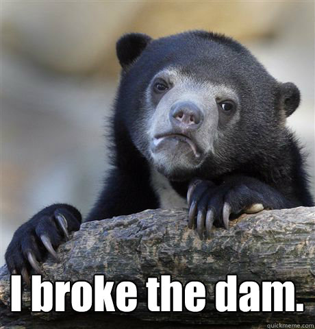  I broke the dam.
  Confession Bear