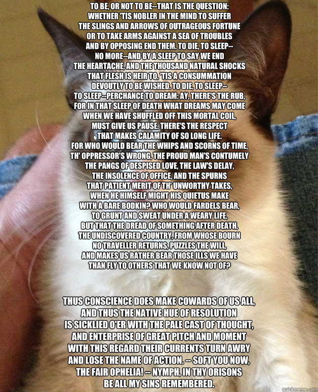 To be, or not to be--that is the question:
Whether 'tis nobler in the mind to suffer
The slings and arrows of outrageous fortune
Or to take arms against a sea of troubles
And by opposing end them. To die, to sleep--
No more--and by a sleep to say we end
T  Grumpy Cat